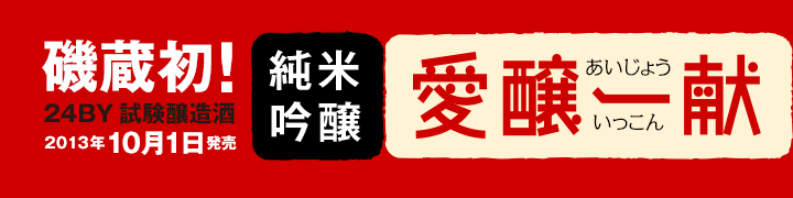 鑠𑢏̏ċwꌣx2013N101I